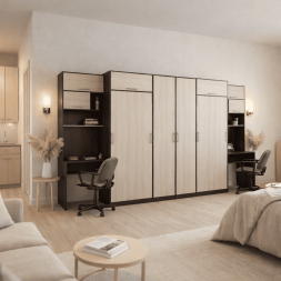 Шкаф-кровать трансформер Дуэт