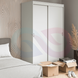 Шкаф-купе Миллениум 2